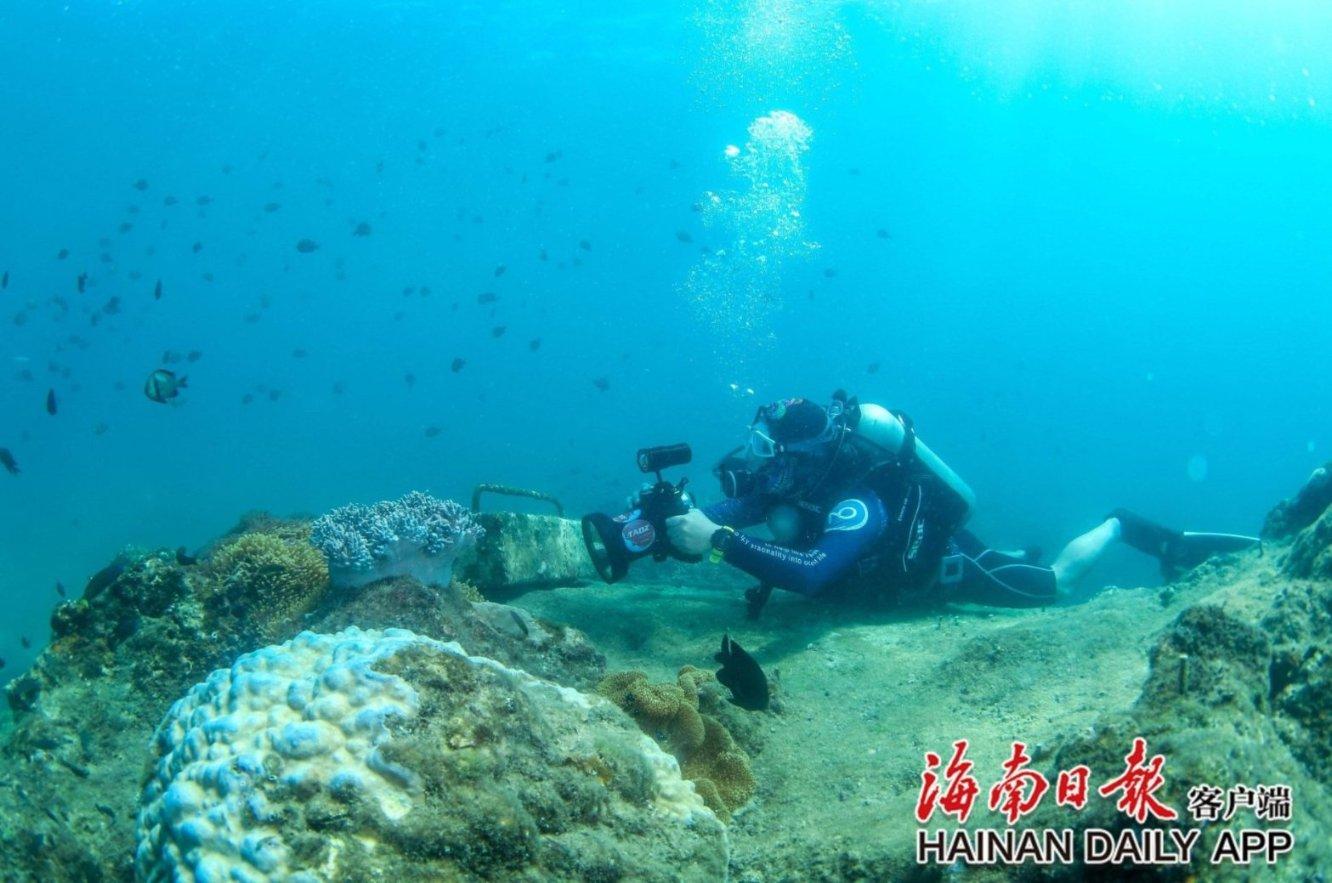 嘉日单词