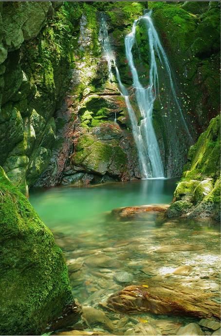 逃离水虎鱼湖